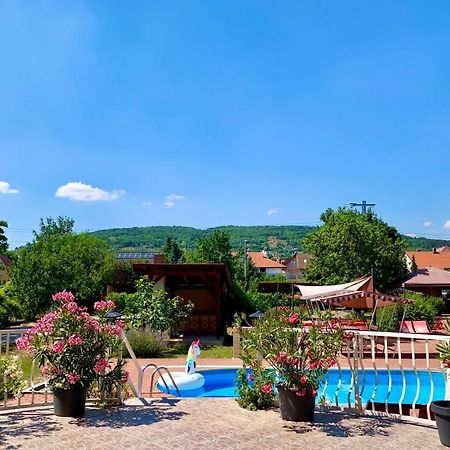 Andrea Pansio Bed & Breakfast Balatonfüred Dış mekan fotoğraf